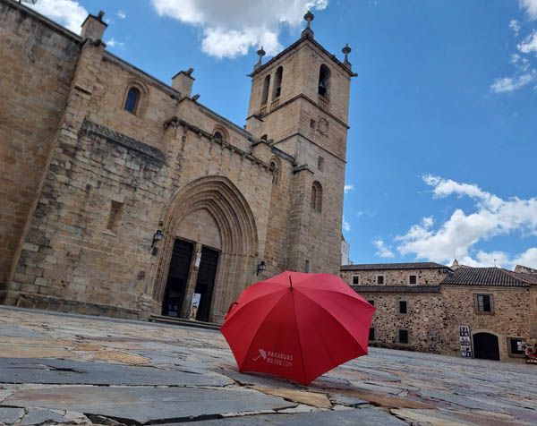 Punto de encuentro visita al interior de la concatedral de caceres 2